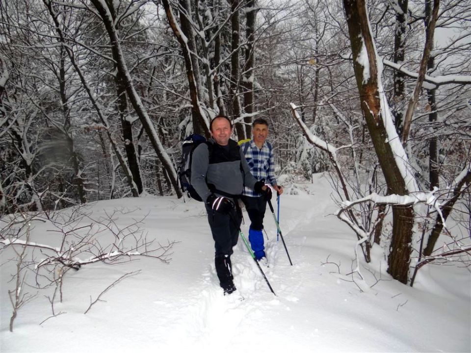 Sevnica-Cerje-Lisca-Breg-24.2.2013 - foto povečava