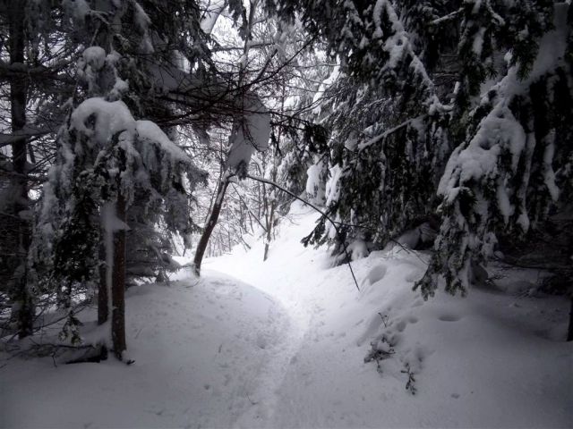 Sevnica-Cerje-Lisca-Breg-24.2.2013 - foto