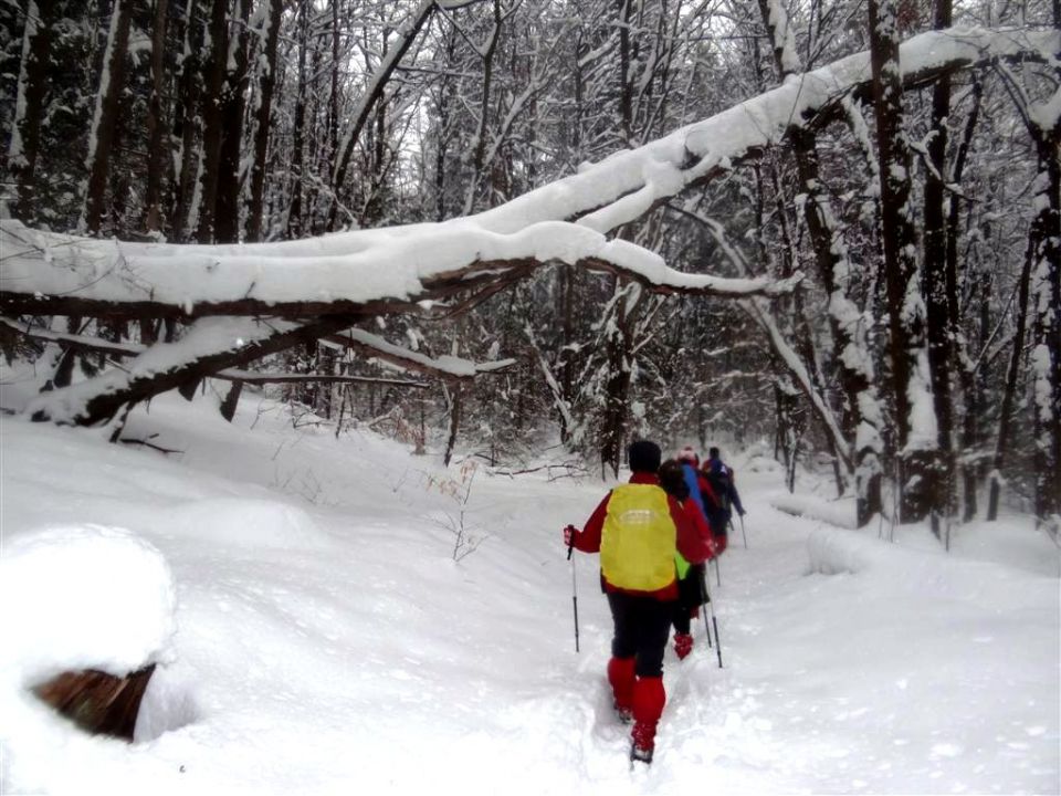 Sevnica-Cerje-Lisca-Breg-24.2.2013 - foto povečava