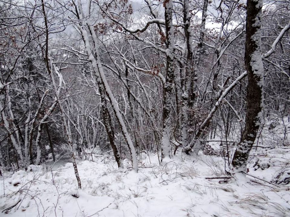 Jevnica-Sv.Miklavž-Geoss-Kresnice-(24.3.2013) - foto povečava