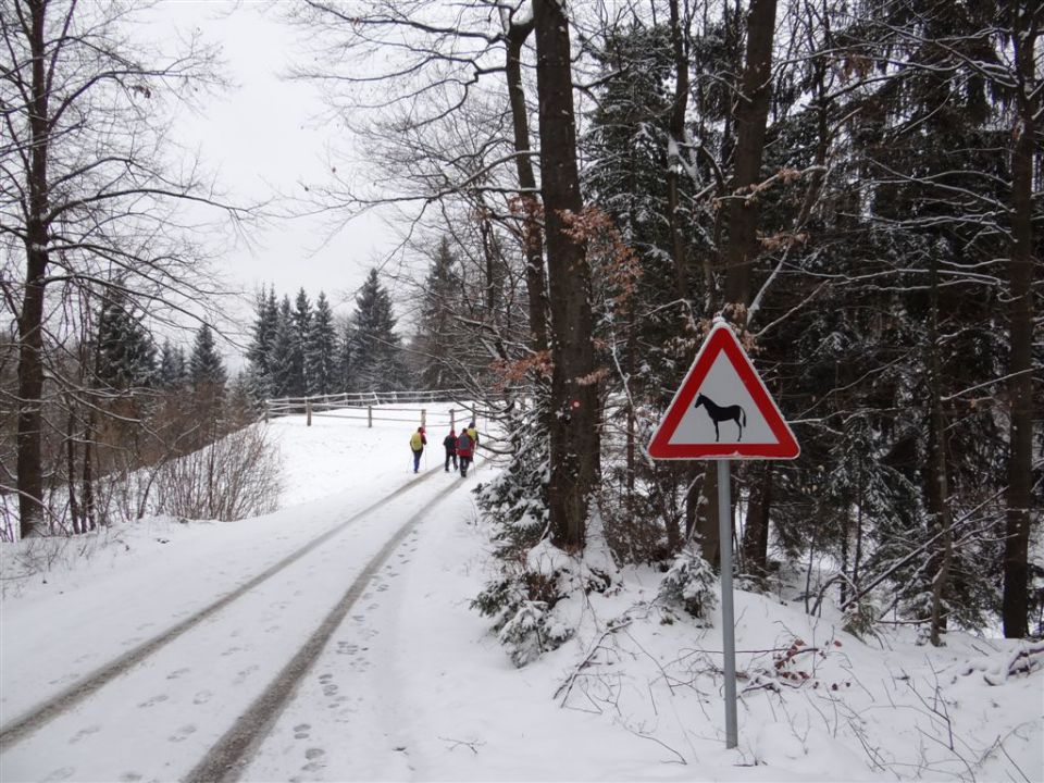 Jevnica-Sv.Miklavž-Geoss-Kresnice-(24.3.2013) - foto povečava