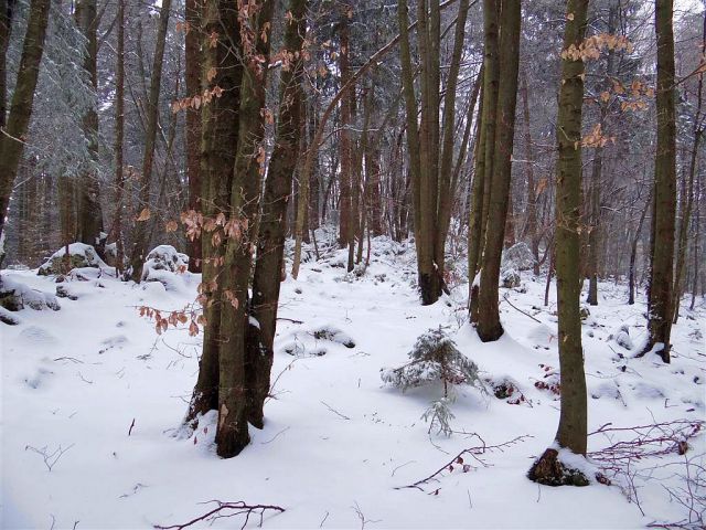 Jevnica-Sv.Miklavž-Geoss-Kresnice-(24.3.2013) - foto