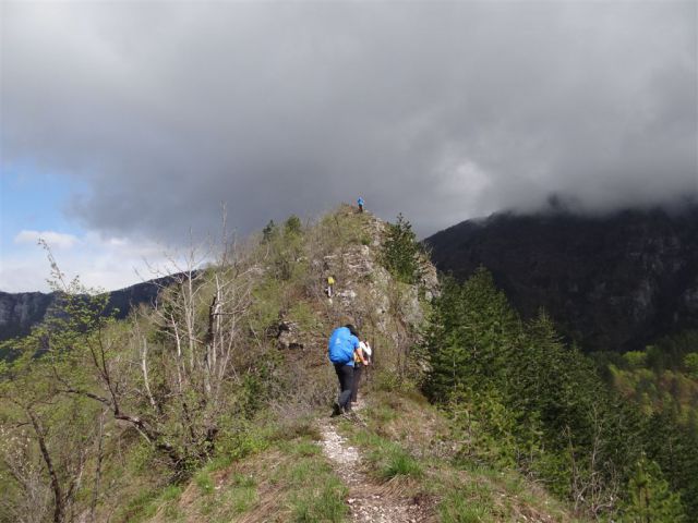 Bosljiva Loka-Krempa(944m)-Borič-28.4.2013 - foto