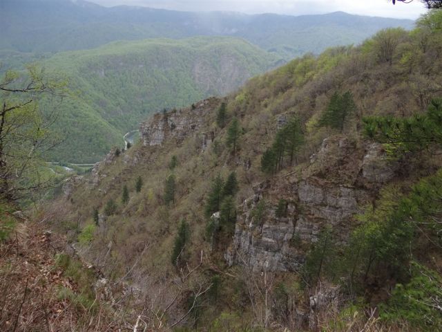 Bosljiva Loka-Krempa(944m)-Borič-28.4.2013 - foto