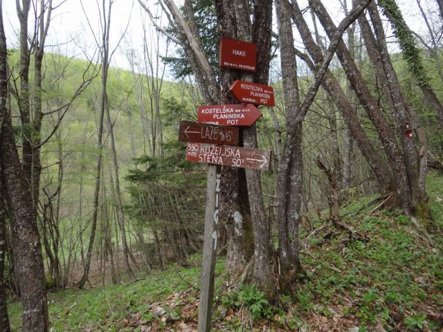 Bosljiva Loka-Krempa(944m)-Borič-28.4.2013 - foto