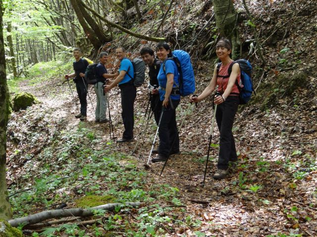 Bosljiva Loka-Krempa(944m)-Borič-28.4.2013 - foto