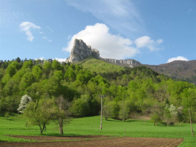 Bosljiva Loka-Krempa(944m)-Borič-28.4.2013 - foto
