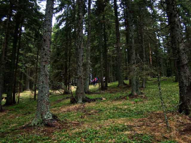 Resnik-Rogla-Lovrenška jez.-Pesek-12.5.13 - foto