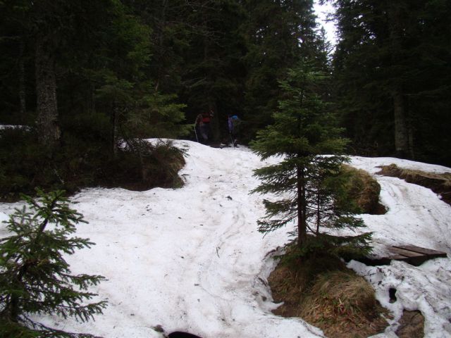 Resnik-Rogla-Lovrenška jez.-Pesek-12.5.13 - foto