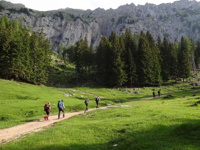 Košutnik-Košut.turn-Zg.Dolga njiva-23.6.13 - foto