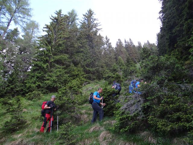 Košutnik-Košut.turn-Zg.Dolga njiva-23.6.13 - foto