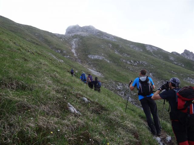 Košutnik-Košut.turn-Zg.Dolga njiva-23.6.13 - foto