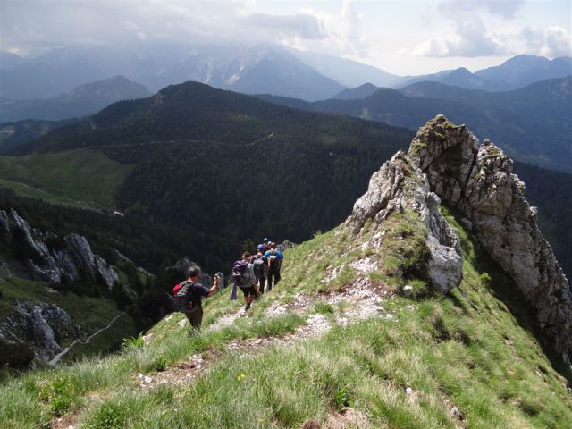 Košutnik-Košut.turn-Zg.Dolga njiva-23.6.13 - foto