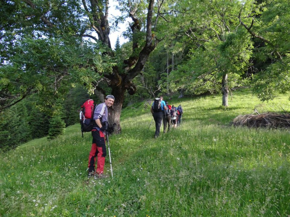 Erjavč.rovt-Brvog-Kepa-Gubno-30.6.2013 - foto povečava