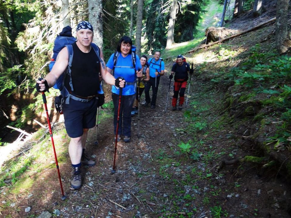 Erjavč.rovt-Brvog-Kepa-Gubno-30.6.2013 - foto povečava