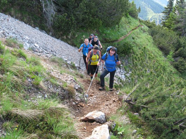 Erjavč.rovt-Brvog-Kepa-Gubno-30.6.2013 - foto