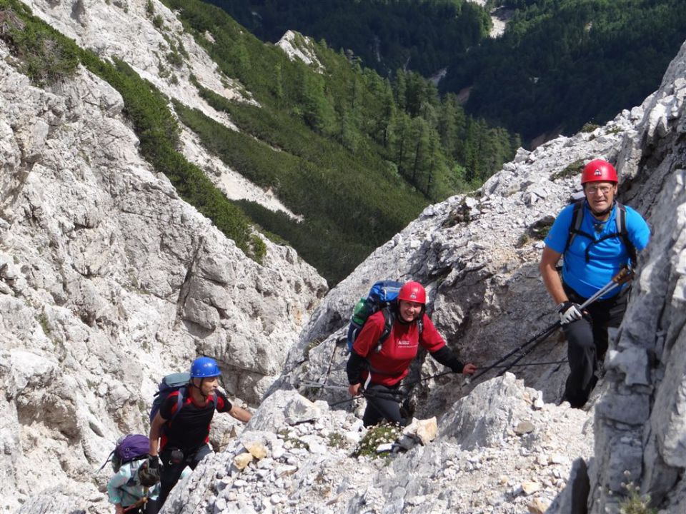 Erjavč.rovt-Brvog-Kepa-Gubno-30.6.2013 - foto povečava