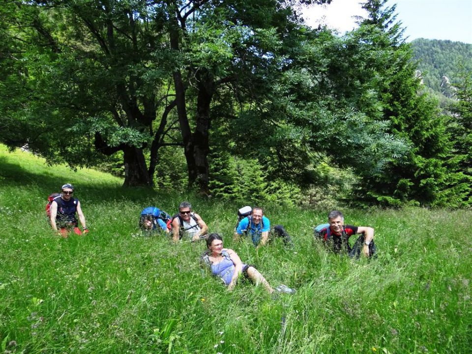 Erjavč.rovt-Brvog-Kepa-Gubno-30.6.2013 - foto povečava