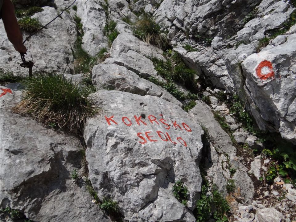 Žagana peč-Kalška gora-Kokrško s.-14.7.2013 - foto povečava