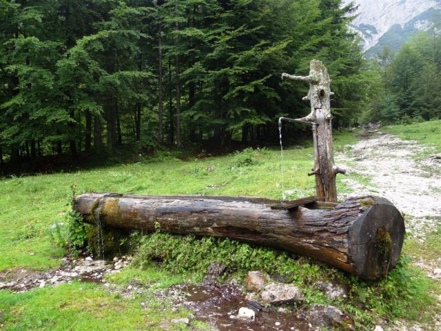 Robanov kot-Ojstrica-Korošica-21.7.13 - foto