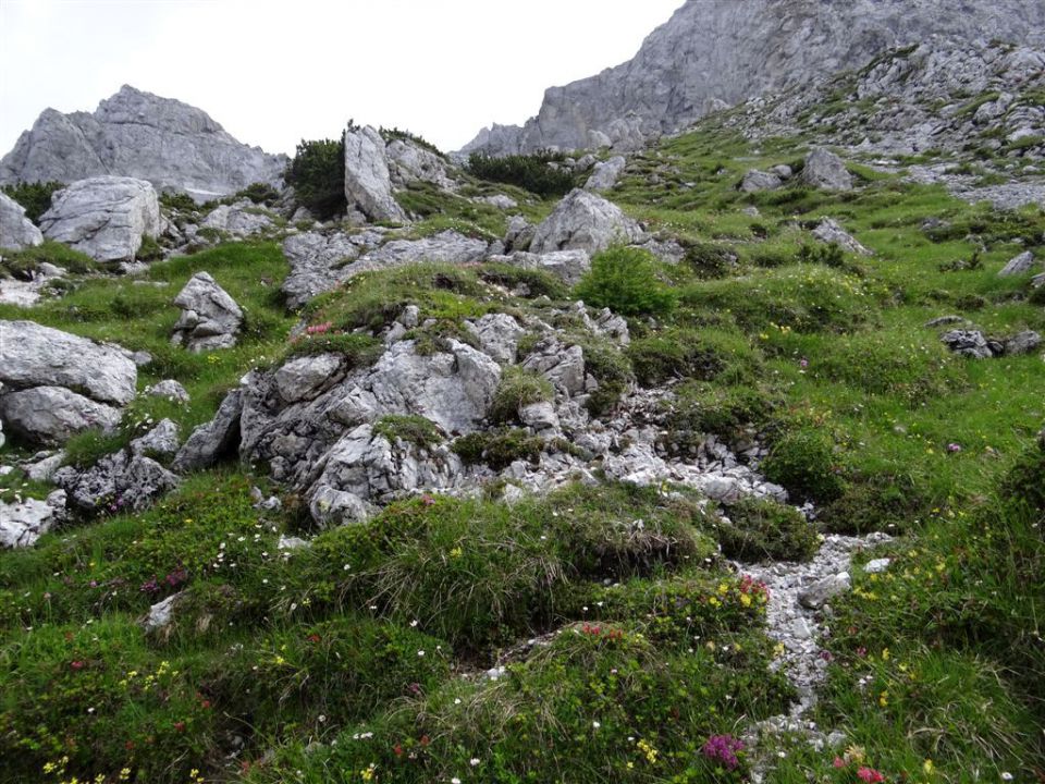 Robanov kot-Ojstrica-Korošica-21.7.13 - foto povečava