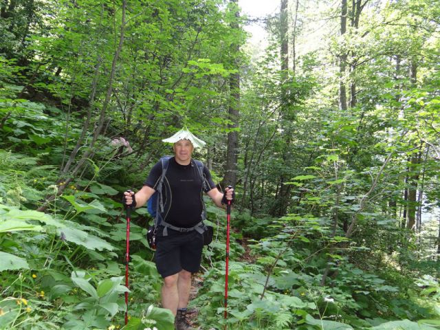 Robanov kot-Ojstrica-Korošica-21.7.13 - foto