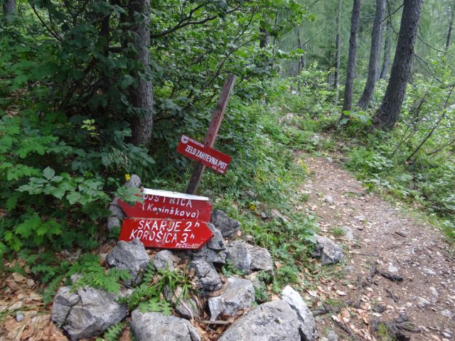 Robanov kot-Ojstrica-Korošica-21.7.13 - foto