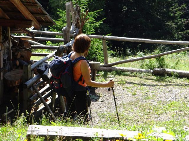 Robanov kot-Ojstrica-Korošica-21.7.13 - foto