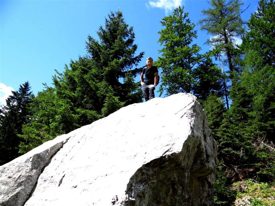 Ljubelj-Ljubeljska Baba-Pl.Korošica-24.8.2013 - foto povečava