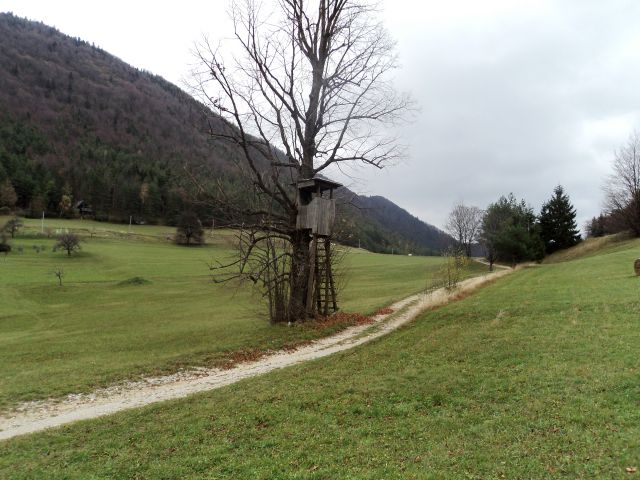 Lindek-Stenica(1091m)-Kislica-2.11.2013 - foto