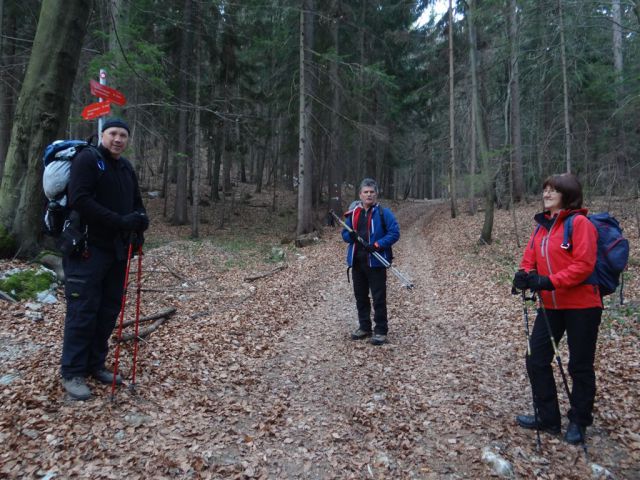 Poštarski dom-Uršlja gora(1699m)-8.12.2013 - foto