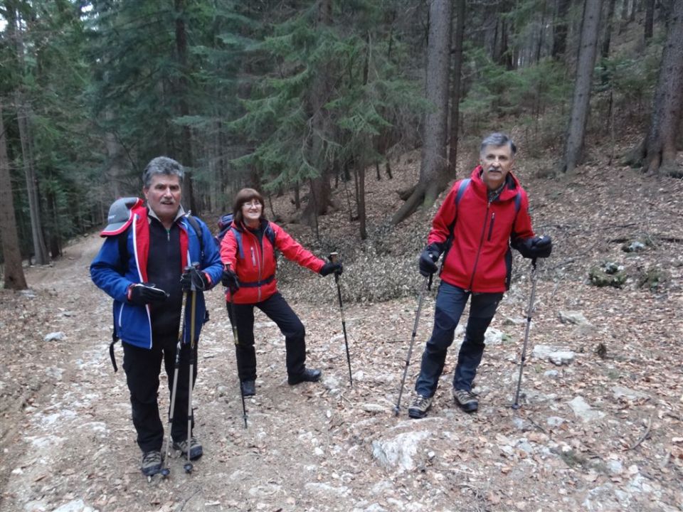 Poštarski dom-Uršlja gora(1699m)-8.12.2013 - foto povečava