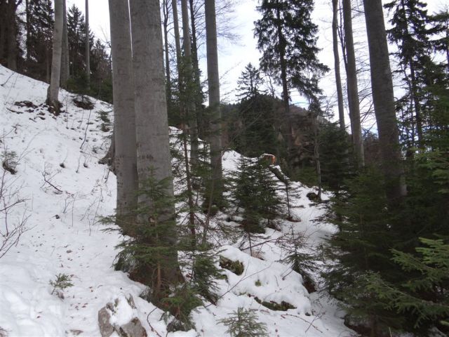 Poštarski dom-Uršlja gora(1699m)-8.12.2013 - foto