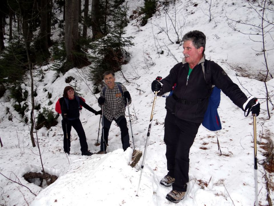 Poštarski dom-Uršlja gora(1699m)-8.12.2013 - foto povečava