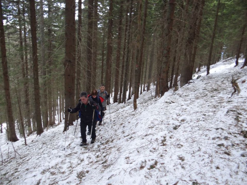 Poštarski dom-Uršlja gora(1699m)-8.12.2013 - foto povečava