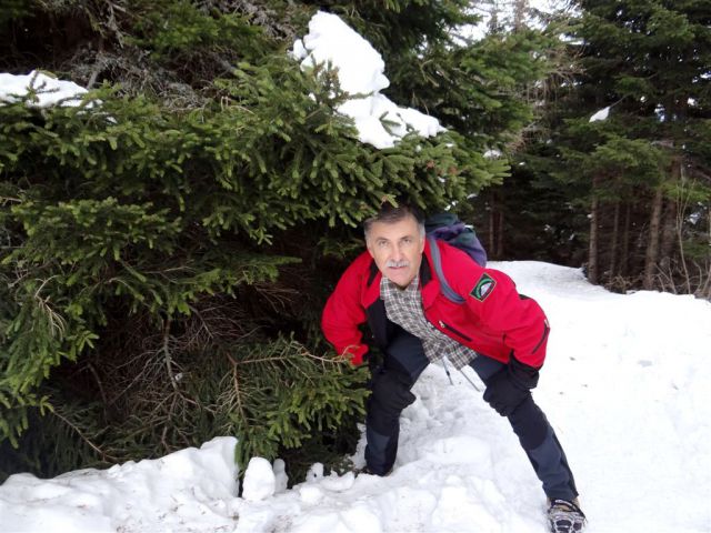 Poštarski dom-Uršlja gora(1699m)-8.12.2013 - foto
