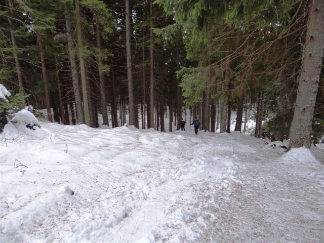 Poštarski dom-Uršlja gora(1699m)-8.12.2013 - foto