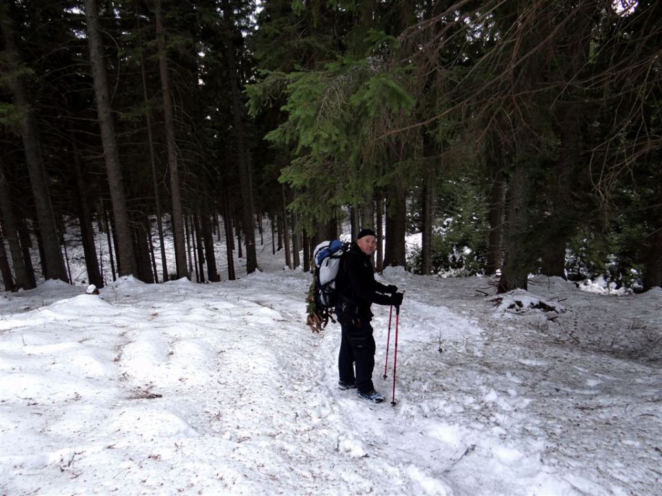 Poštarski dom-Uršlja gora(1699m)-8.12.2013 - foto povečava