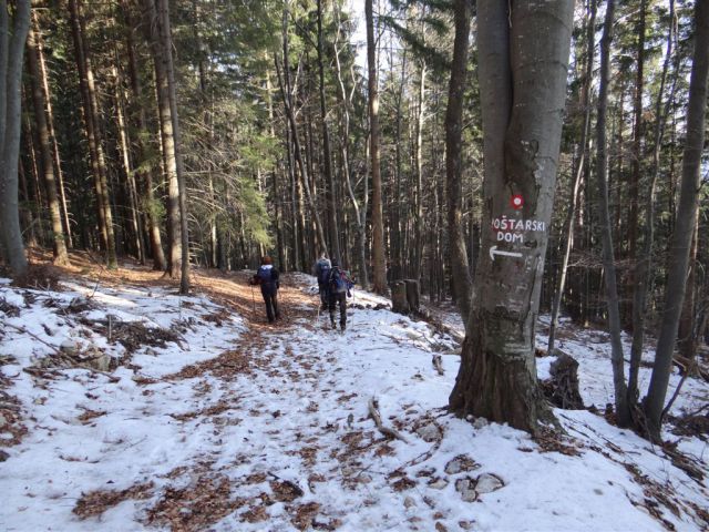 Poštarski dom-Uršlja gora(1699m)-8.12.2013 - foto