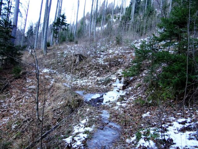 Poštarski dom-Uršlja gora(1699m)-8.12.2013 - foto