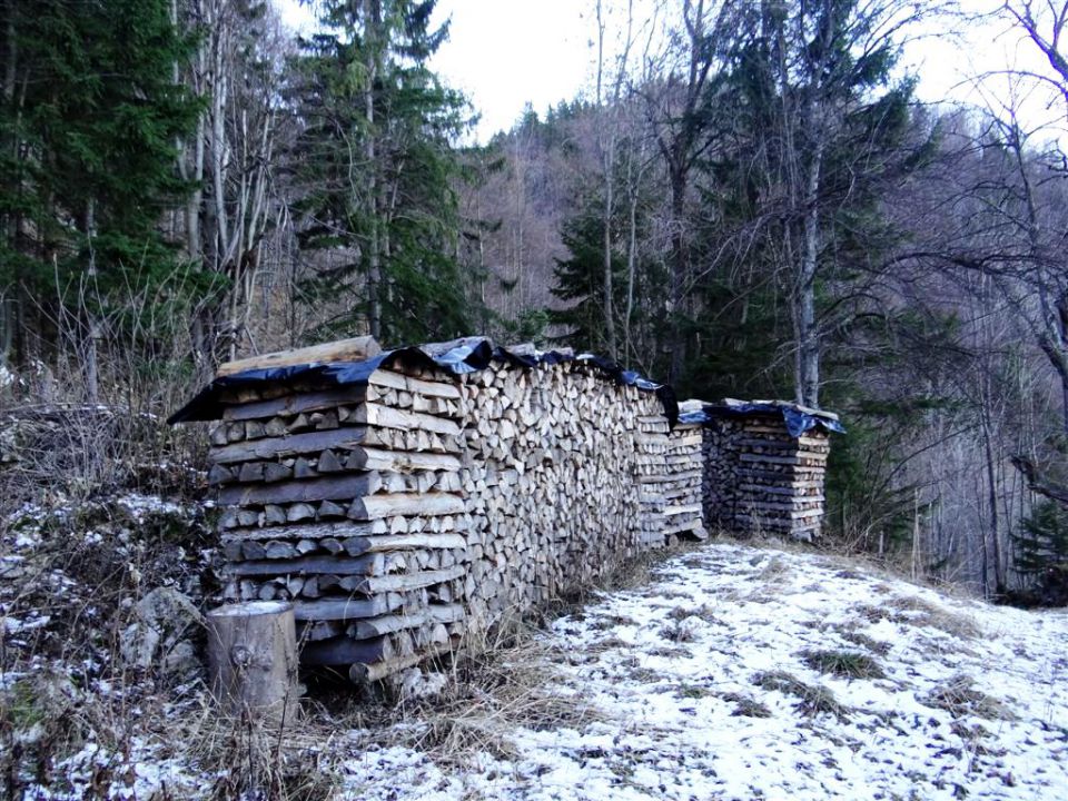 Poštarski dom-Uršlja gora(1699m)-8.12.2013 - foto povečava