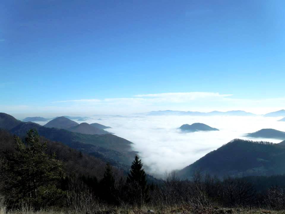 Šmohor-Mrzlica-Kal-Brili-15.12.2013 - foto povečava