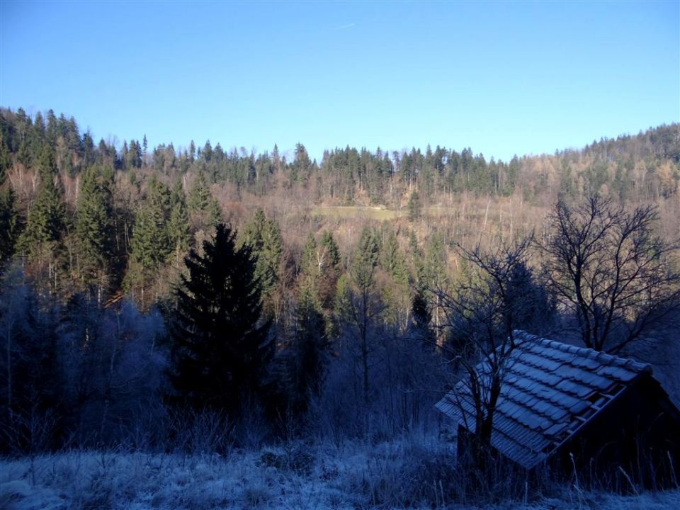 Šmohor-Mrzlica-Kal-Brili-15.12.2013 - foto povečava