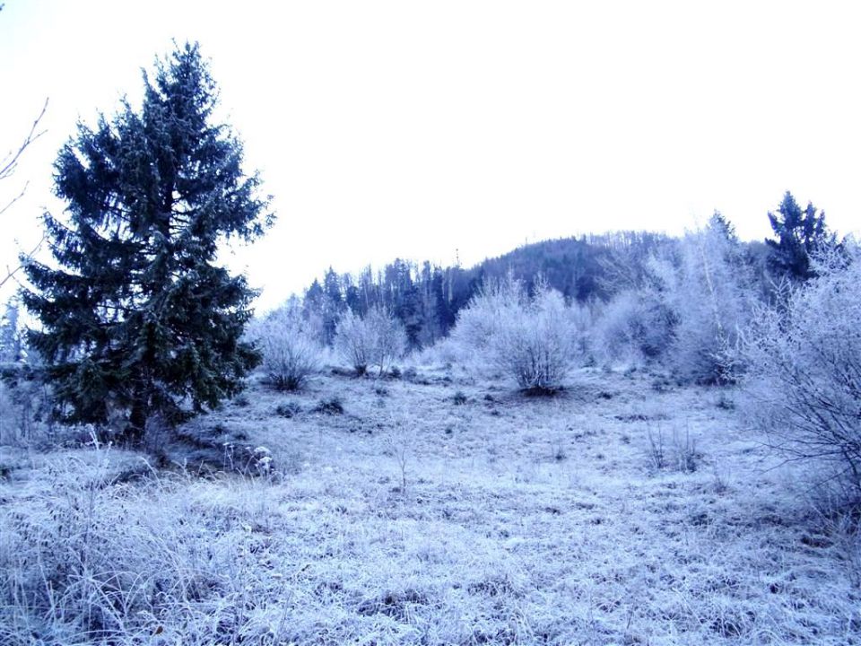 Šmohor-Mrzlica-Kal-Brili-15.12.2013 - foto povečava