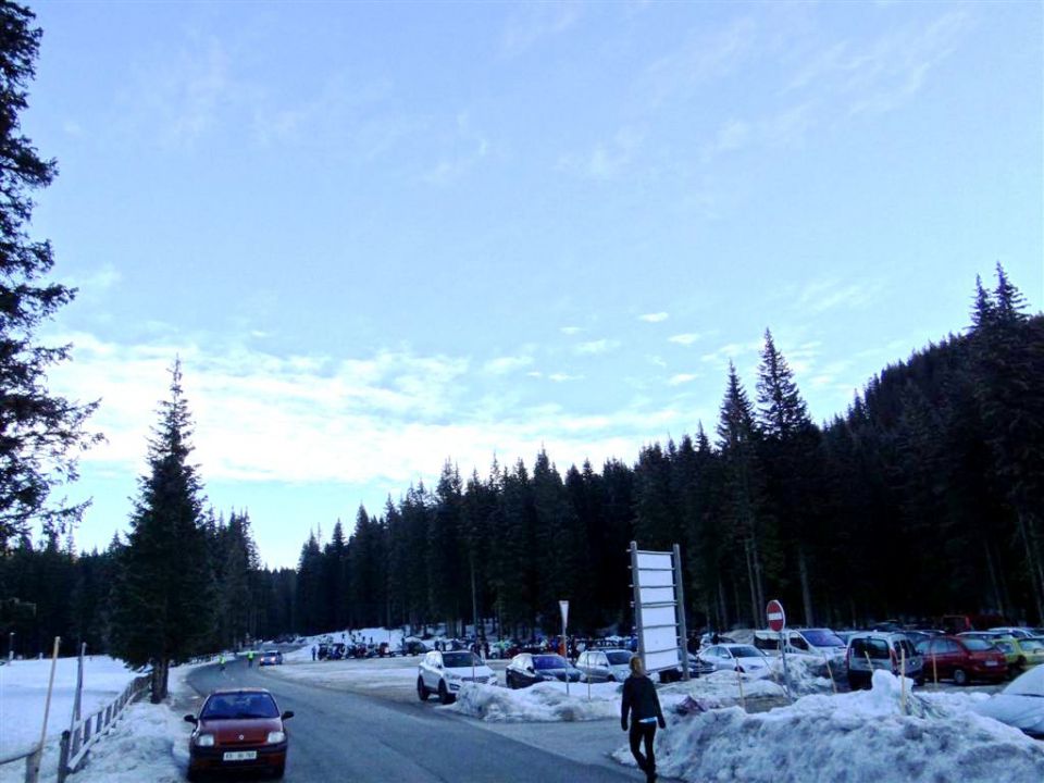 Pokljuka-Viševnik-12.1.2014 - foto povečava