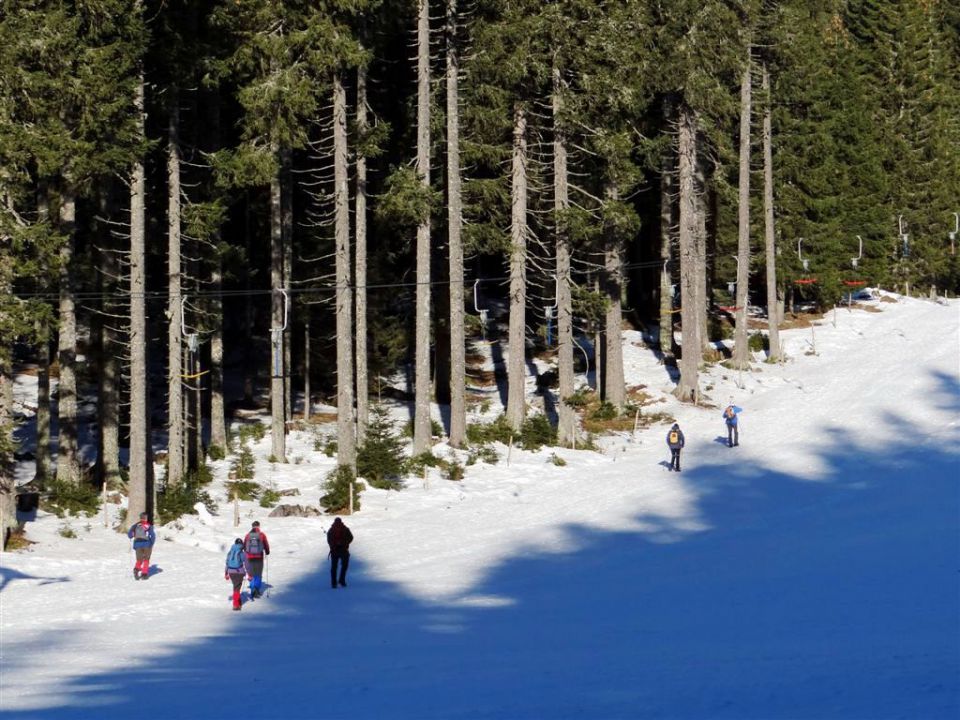 Pokljuka-Viševnik-12.1.2014 - foto povečava