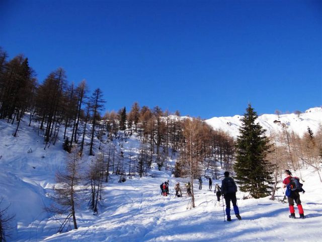 Pokljuka-Viševnik-12.1.2014 - foto