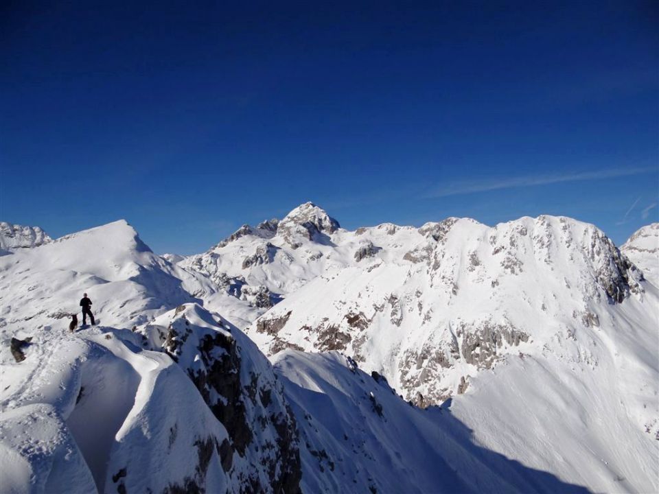 Pokljuka-Viševnik-12.1.2014 - foto povečava