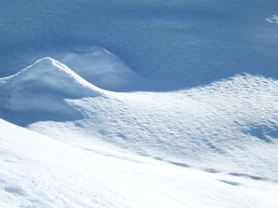 Pokljuka-Viševnik-12.1.2014 - foto povečava