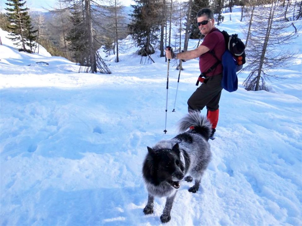 Pokljuka-Viševnik-12.1.2014 - foto povečava